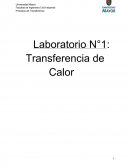 Laboratorio N°1: Transferencia de Calor