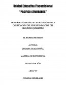 Proyecto de grado de molino electrico