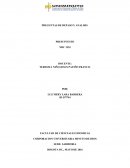 PREGUNTAS DE REPASO Y ANALISIS PRESUPUESTO