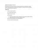 Nombre de la empresa: Reciplasticos