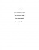 Ensayo y conclusiones.