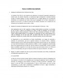 Analisis caso areas funcionales