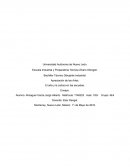 El arte y la cultura en las escuelas.