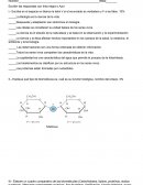 Escriba en el espacio en blanco la letra V si el enunciado es verdadero y F si es falso.