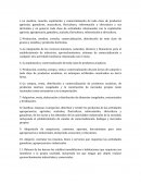 OBJETOR DE UNA SOCIEDAD