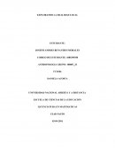 EXPLORANDO LA REALIDAD LOCAL.