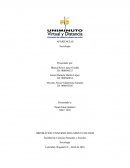 Las apariencias- Sociologia