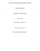 Ensayo sobre los derechos humanos.