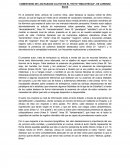 COMENTARIO DE LOS RASGOS CULTOS EN EL TEXTO “BIBLIOTECAS”, DE LORENZO SILVA