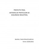 Proyecto final sistemas de proteccion de seguridad industrial