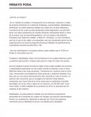 Ensayo foda ¿Qué es un ensayo?