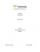 Motivo de consulta: lesión cerebral cortical