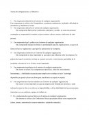 Teoría de la Organización y el Directivo