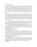 El gran Diccionario bilingue