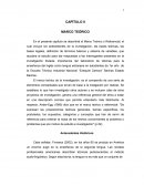 CAPÍTULO II MARCO TEÓRICO