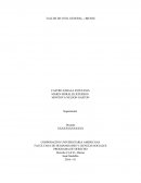 Tema- CASTRO ZABALA ESTEFANIA