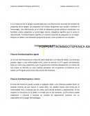 Púrpura trombositopenica idiopatica