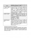 Tema de Organización (Como etapa del proceso administrativo).