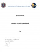 PIA de LCE 2do Semestre