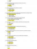 ¿Cuál es el nombre del hueso que articula con el occipital en su porción basilar?