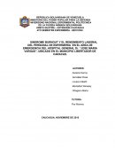 SINDROME BURNOUT Y EL RENDIMIENTO LABORAL DEL PERSONAL DE ENFERMERIA EN EL AREA DE EMERGENCIA DEL HOSPITAL GENERAL Dr. “JOSE MARIA VARGAS”, UBICADO EN EL MUNICIPIO LIBERTADOR DE CARACAS.