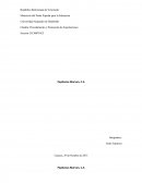 Modelo de exportación. Pepitonas Marven, C.A