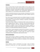 Esta es una breve historia de nuestra empresa: BERN