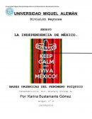 LA INDEPENDENCIA DE MÉXICO.