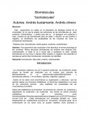 Biomoleculas- Resumen