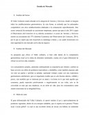 Estudio de Mercado. Análisis del Sector etc