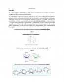 Carbohidratos ¿Qué son?