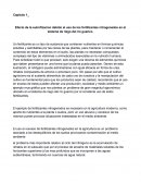 Efecto de la eutrofizacion debido al uso de los fertilizantes nitrogenados en el sistema de riego del rio guarico.