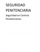 Seguridad penitenciaria.