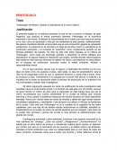 Volkswagen de México: Impacto e importancia en el nuevo milenio