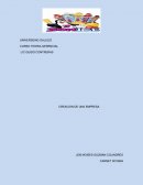 Caso empresa: BARRAS CONGELADAS JM S.A