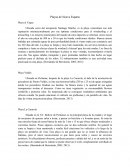 Playas de Nueva Esparta