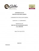 ENSAYOS FUNDAMENTOS DE PSICOLOGÍA GENERAL