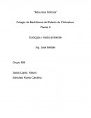 Plantel 6 Ecología y medio ambiente