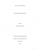 Taller de ejercicios algebraicos