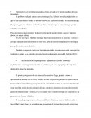 Antecedentes del problema: un análisis crítico derivado de la lectura analítica del caso presentado.