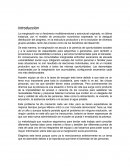 La marginación es un fenómeno multidimensiona