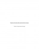 Diagnostico del actual modelo organizacional de la empresa. Gestion de la prevencion de riesgos