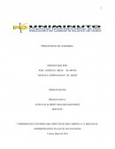 Presupuesto de tesoreria.