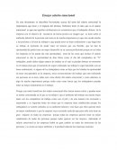 Tema: Ensayo salario emocional