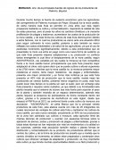 MORAUVA: Una de la principales fuentes de ingreso de los productores de Palermo, Boyacá.