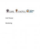 Estados financieros. ¿Qué es mezcla de marketing ?