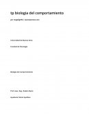 Biología del comportamiento. Selexion sexual.