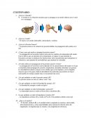 CUESTIONARIO: SONIDO