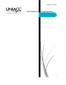 Rol directivo de las organizaciones