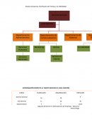 APROXIMACIÓN RESPECTO AL TIEMPO DEDICADO A CADA FUNCIÓN.